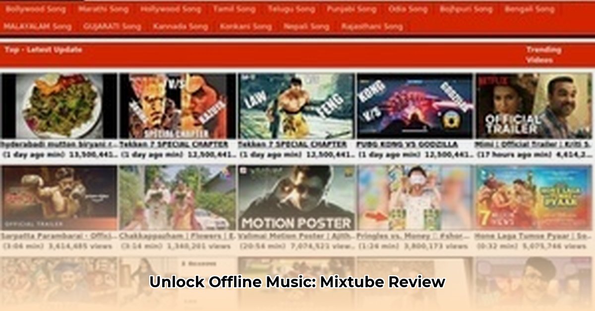 mixtube-net